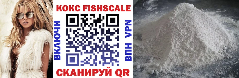 где купить наркотик  МЕГА зеркало  COCAIN Fish Scale  Кимры 