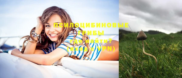трава Нефтегорск