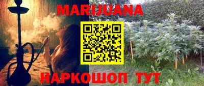Альфа ПВП Дубна