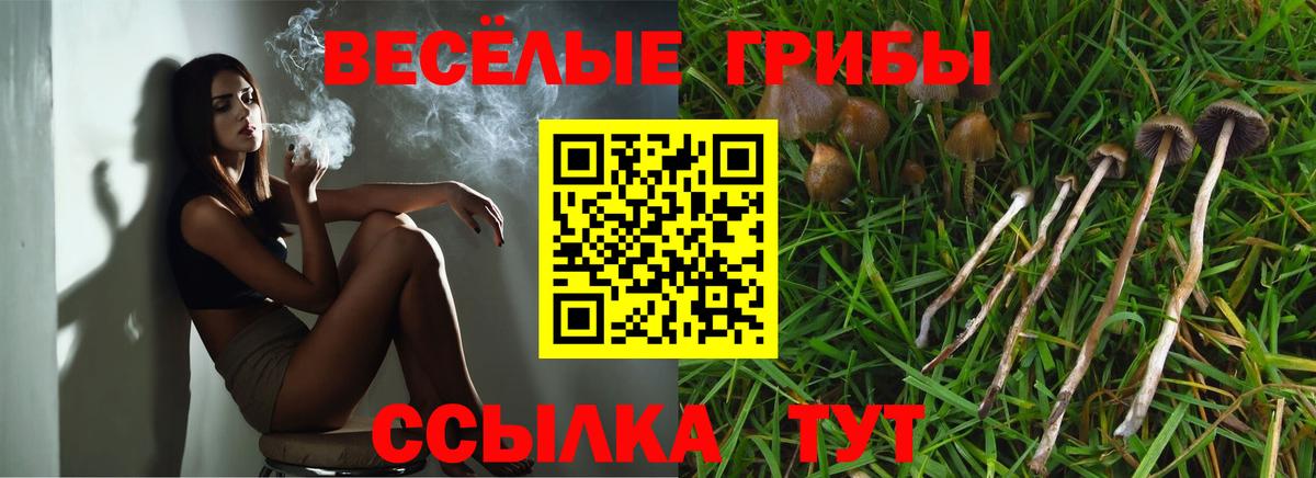 Галлюциногенные грибы Magic Shrooms  Псилоцибиновые грибы Psilocybe  Кимры  Вход с VPN 