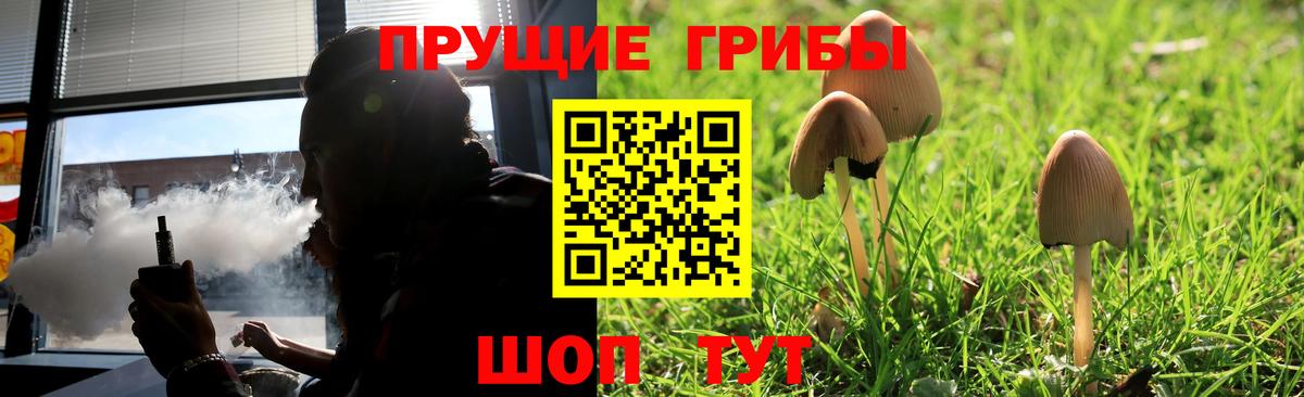 Псилоцибиновые грибы MAGIC MUSHROOMS Кимры