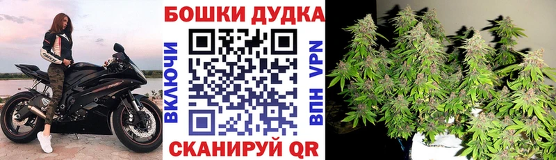 Каннабис план  Кимры 