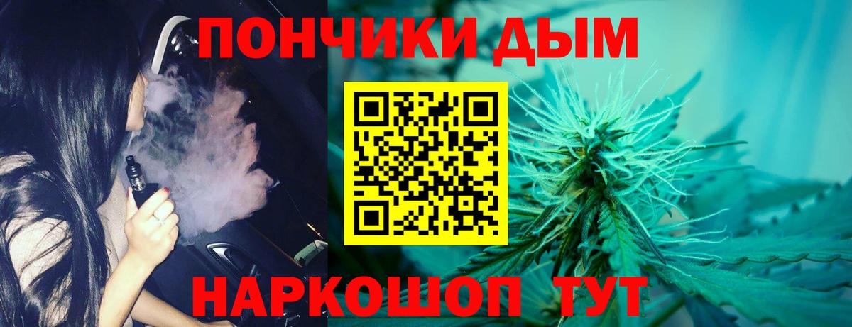 Бошки Шишки планчик Кимры
